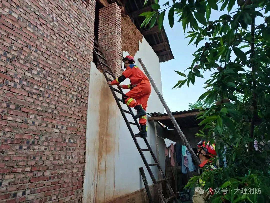 晨云南突发50级地震！AG真人旗舰厅登录凌(图5)